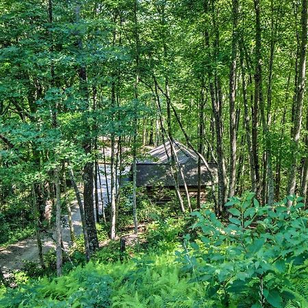 Cozy The Woodshop Cabin With Deck And Forest Views! Robbinsville Dış mekan fotoğraf